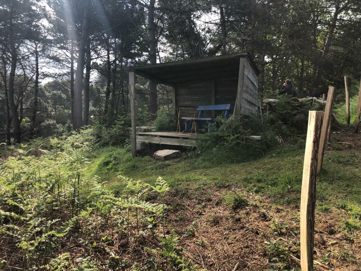 Les Fous De Bassans Bed & Breakfast Poullan-sur-Mer Bagian luar foto